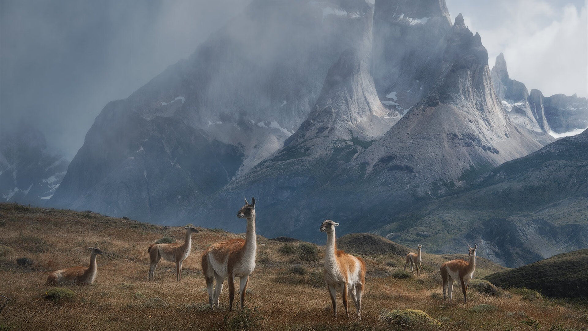 新加坡队未来战略：如何在团体赛中发挥更强大的集体优势，新加坡联赛