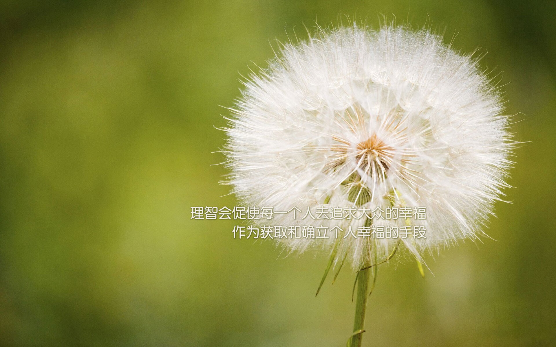 联盟中最会利用错位优势的球星是谁，联盟中最会利用错位优势的球星是谁啊